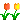 tulip2 tulip2